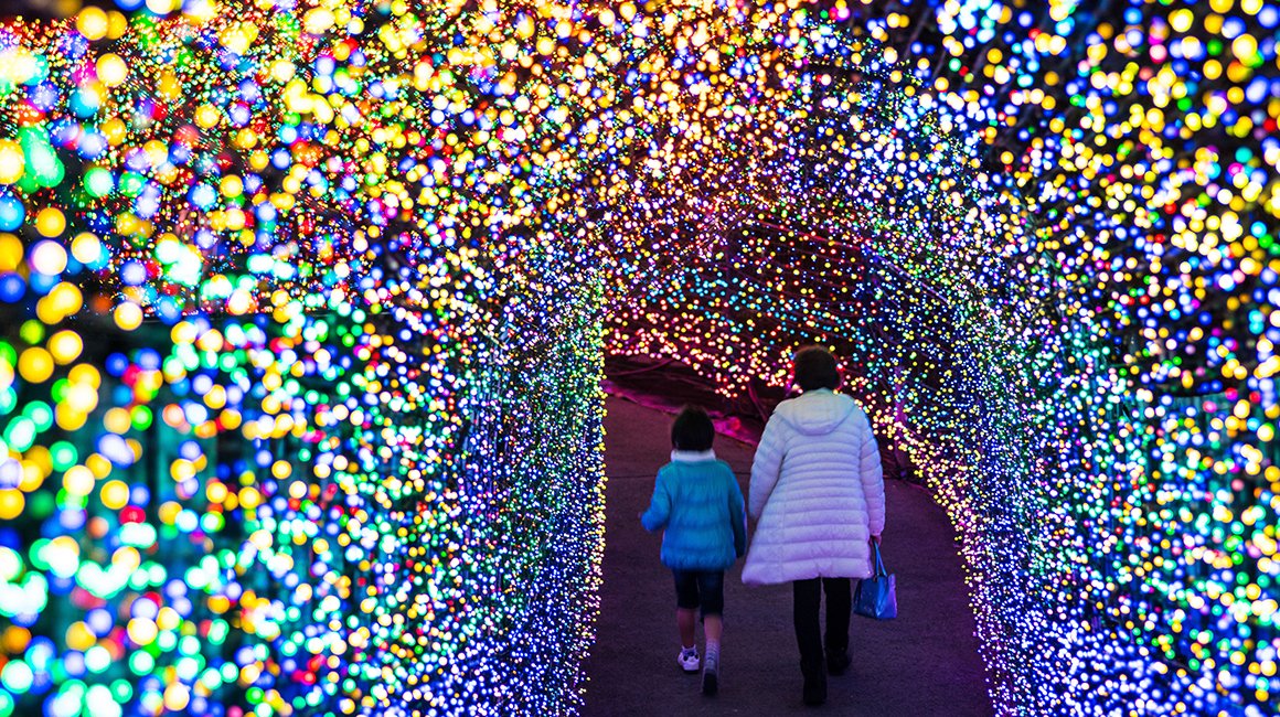 🎡 이즈 그란파루 공원(이즈구란파루코엔) 이미지 6